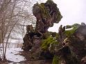 DSC00009