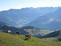 IMG_3924