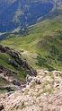 IMG_20140808_113504