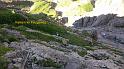 IMG_20140809_103506-001