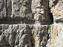 IMG_8482