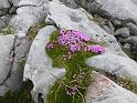 P1040438
