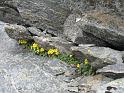 IMG_6804
