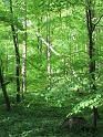 IMG_1677