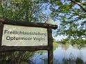 IMG_1704