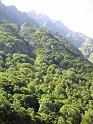 k-IMG_0029
