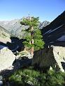 k-IMG_0059