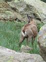 k-IMG_0082