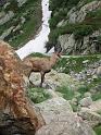 k-IMG_0084