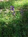 20180603_123516