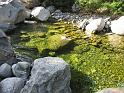 k-IMG_0104