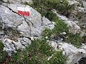 k-IMG_0141