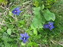 k-IMG_0146