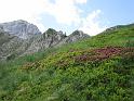 k-IMG_0149
