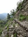 k-IMG_0205