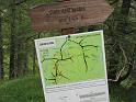 k-IMG_0206