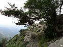 k-IMG_0213