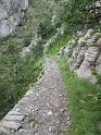 k-IMG_0216
