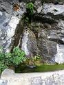 k-IMG_0218