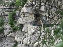 k-IMG_0223