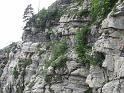 k-IMG_0224