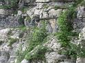 k-IMG_0225