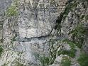 k-IMG_0229