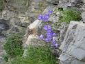 k-IMG_0231