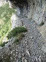 k-IMG_0235