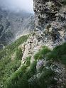 k-IMG_0236