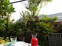 k-IMG_0270