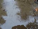 DSC00975