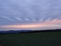 DSC00983