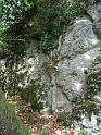 DSC00809