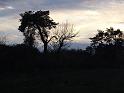 DSC00949