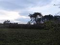 DSC00951