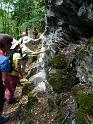 DSC00584