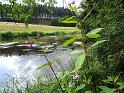 DSC00591