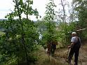 DSC00601