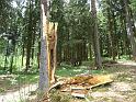 DSC00381