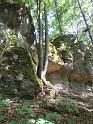 k-IMG_1257