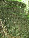 k-IMG_1261