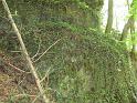 k-IMG_1262