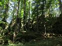 k-IMG_1266