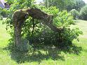 k-IMG_1271