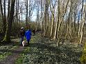 DSC01203