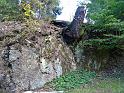 DSC01815