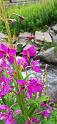 IMG-20210802-WA0024