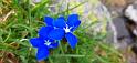 IMG-20210803-WA0042