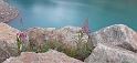 IMG-20210803-WA0076